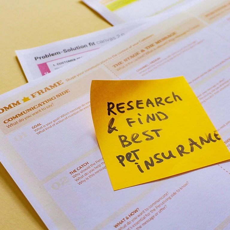 Why Startups Should Consider Hiring an Interim CFO